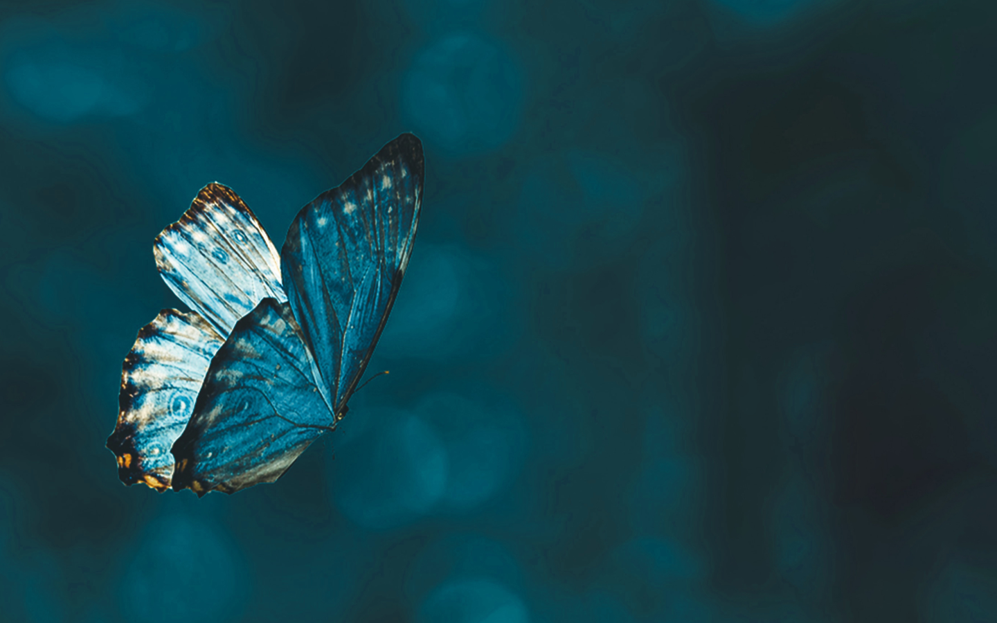 restart package image