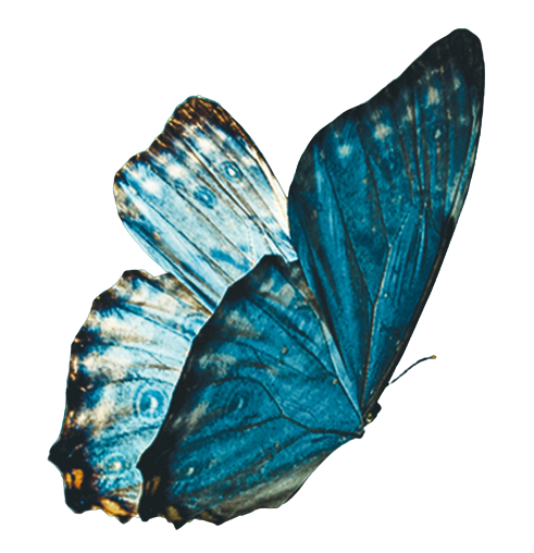 restart package image